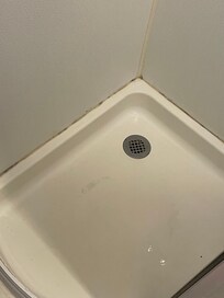 Shower mold