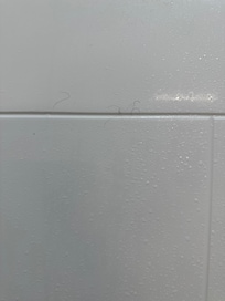 Hair on shower wall. Not mine.