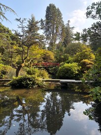 Kubota Gardens