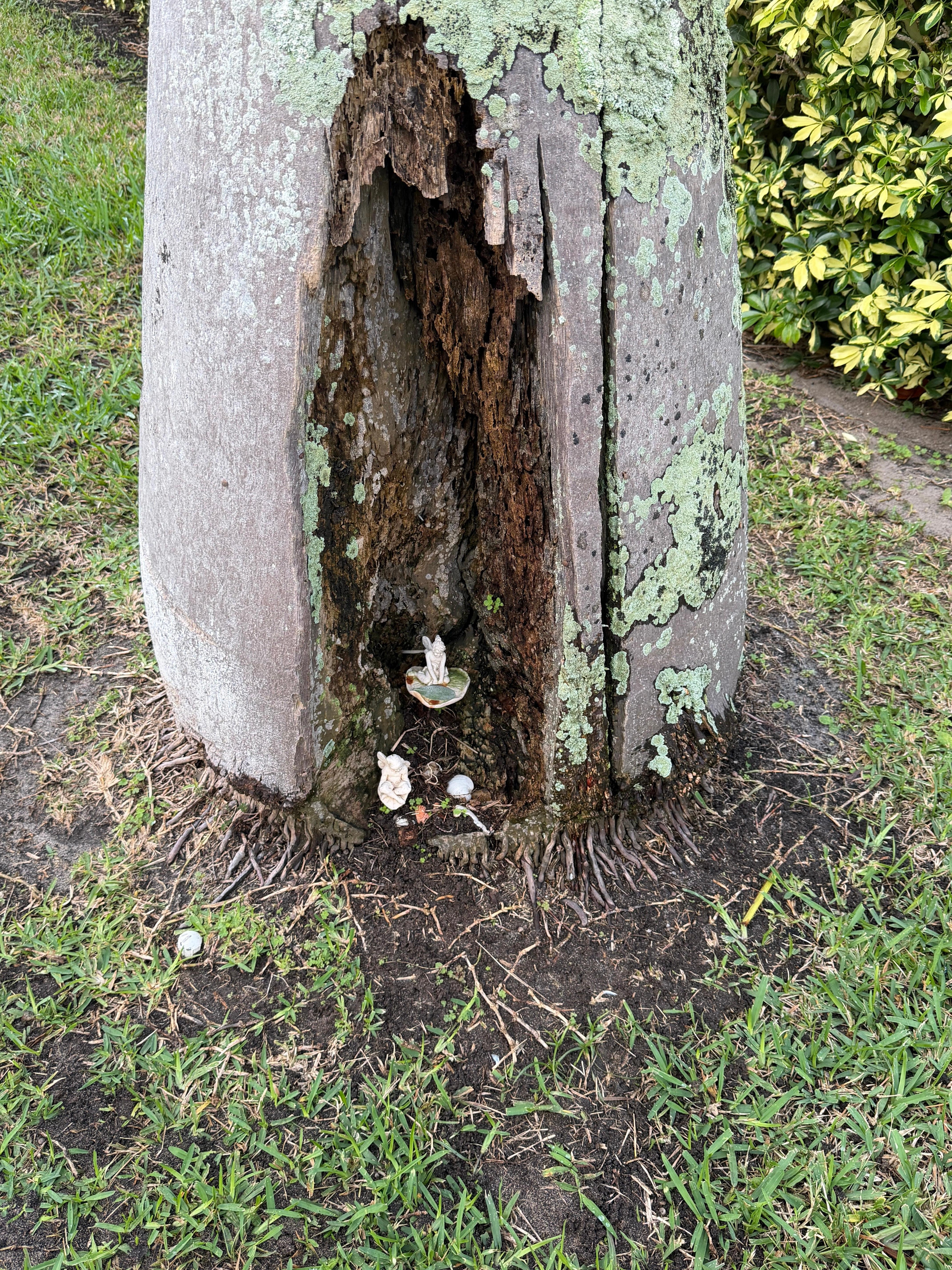 Cool find close to the property 