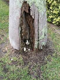 Cool find close to the property