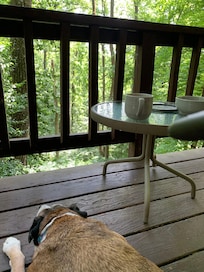 Balcony off the kitchen.