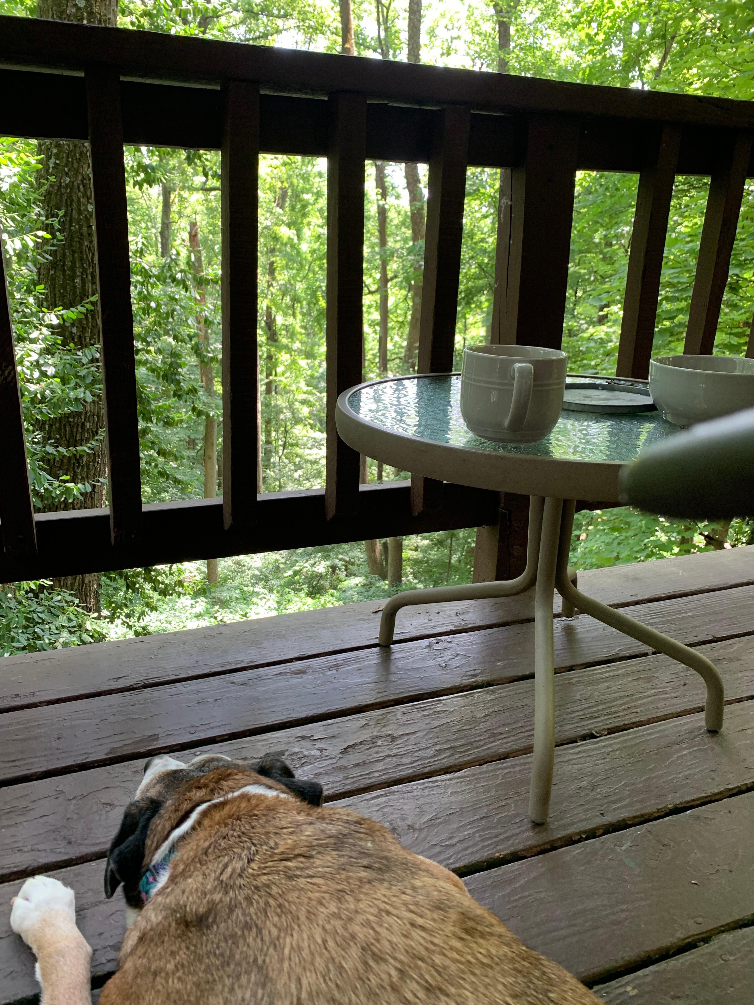 Balcony off the kitchen.