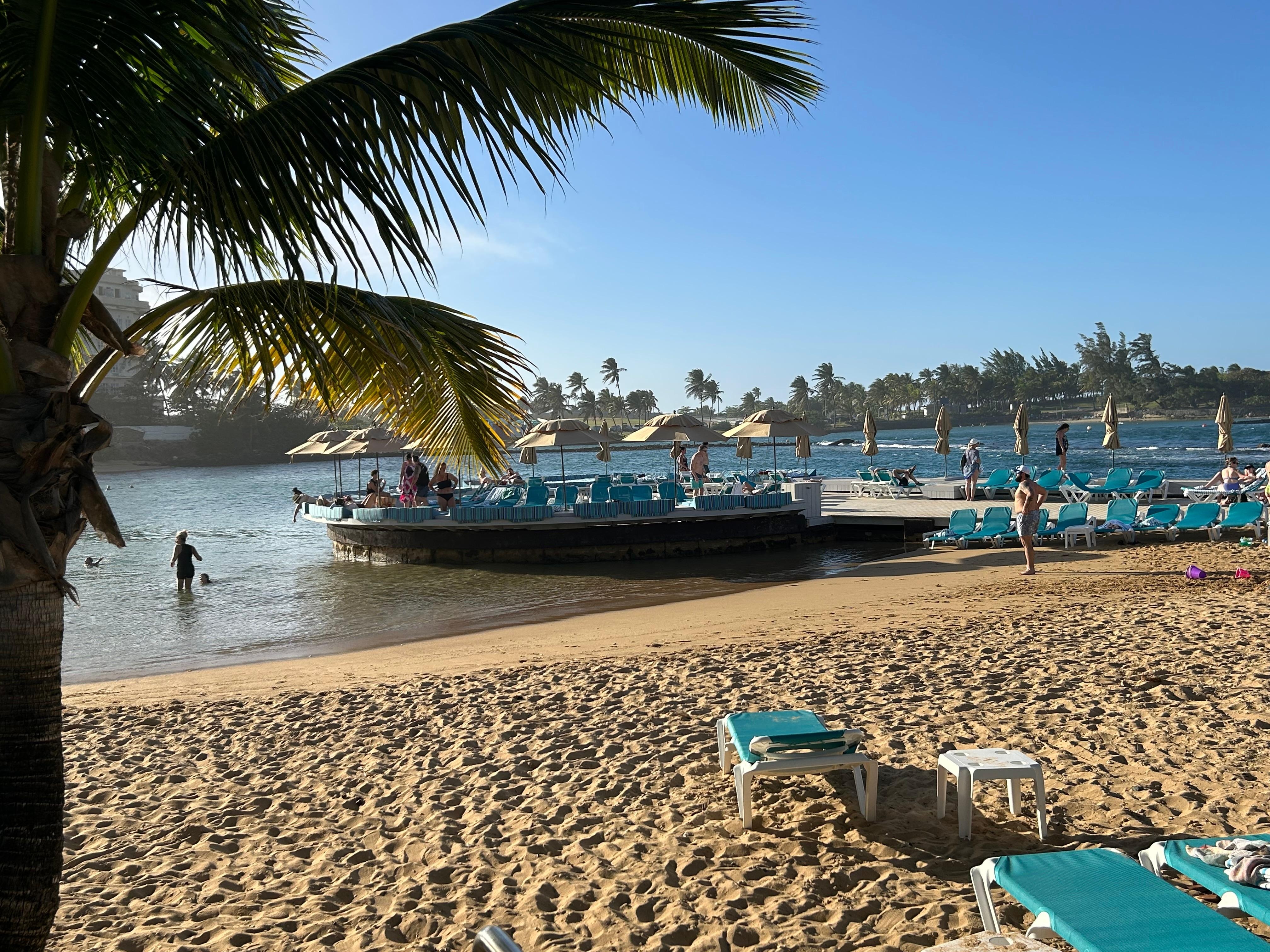 plenty of beach loungers