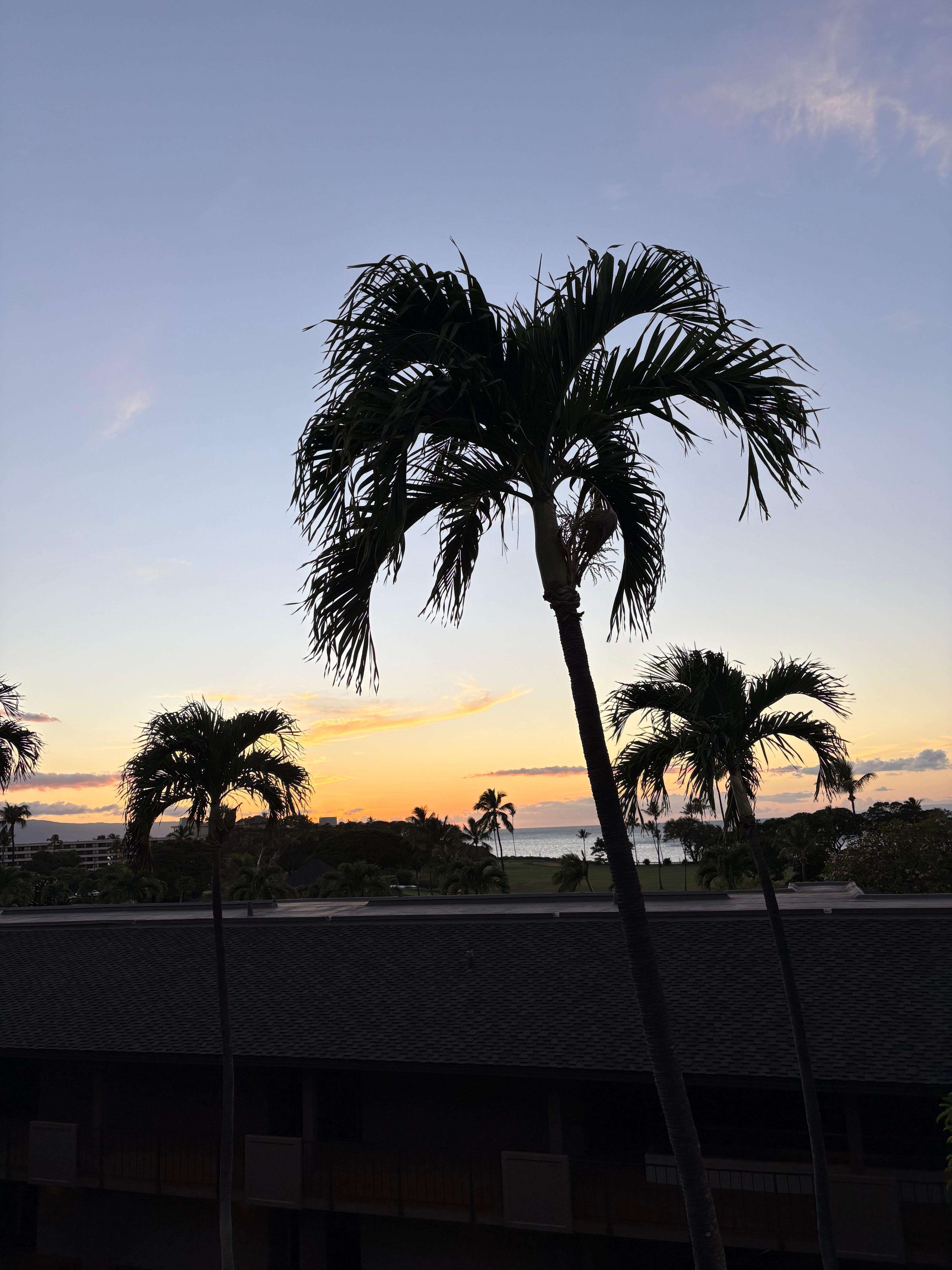 Did I mention the sunsets?