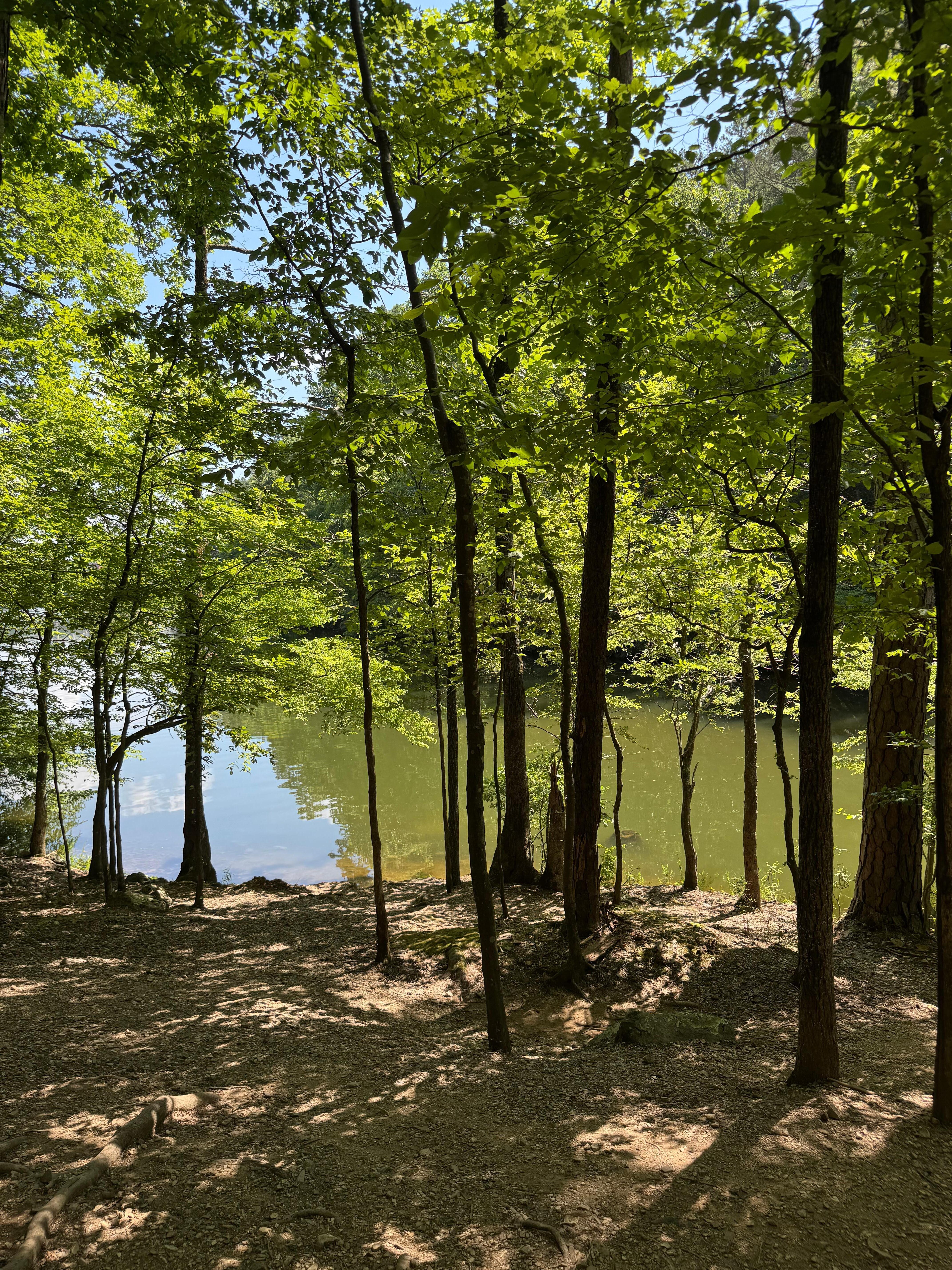 Lake Catherine state park 