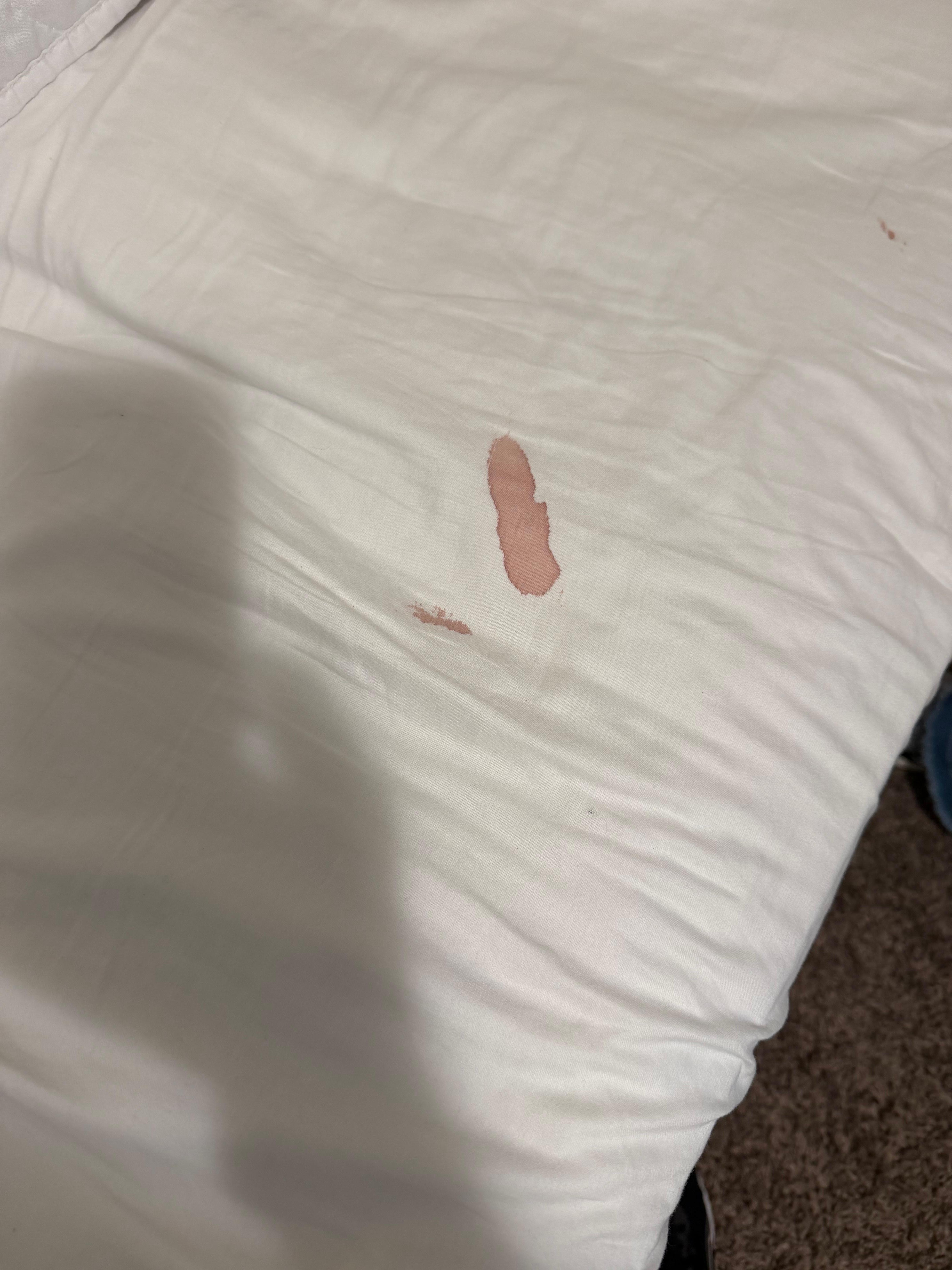 Bloody sheet found on a made up bed. 