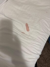 Bloody sheet found on a made up bed.