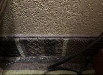 This is what the entirety of our room borders looked like.