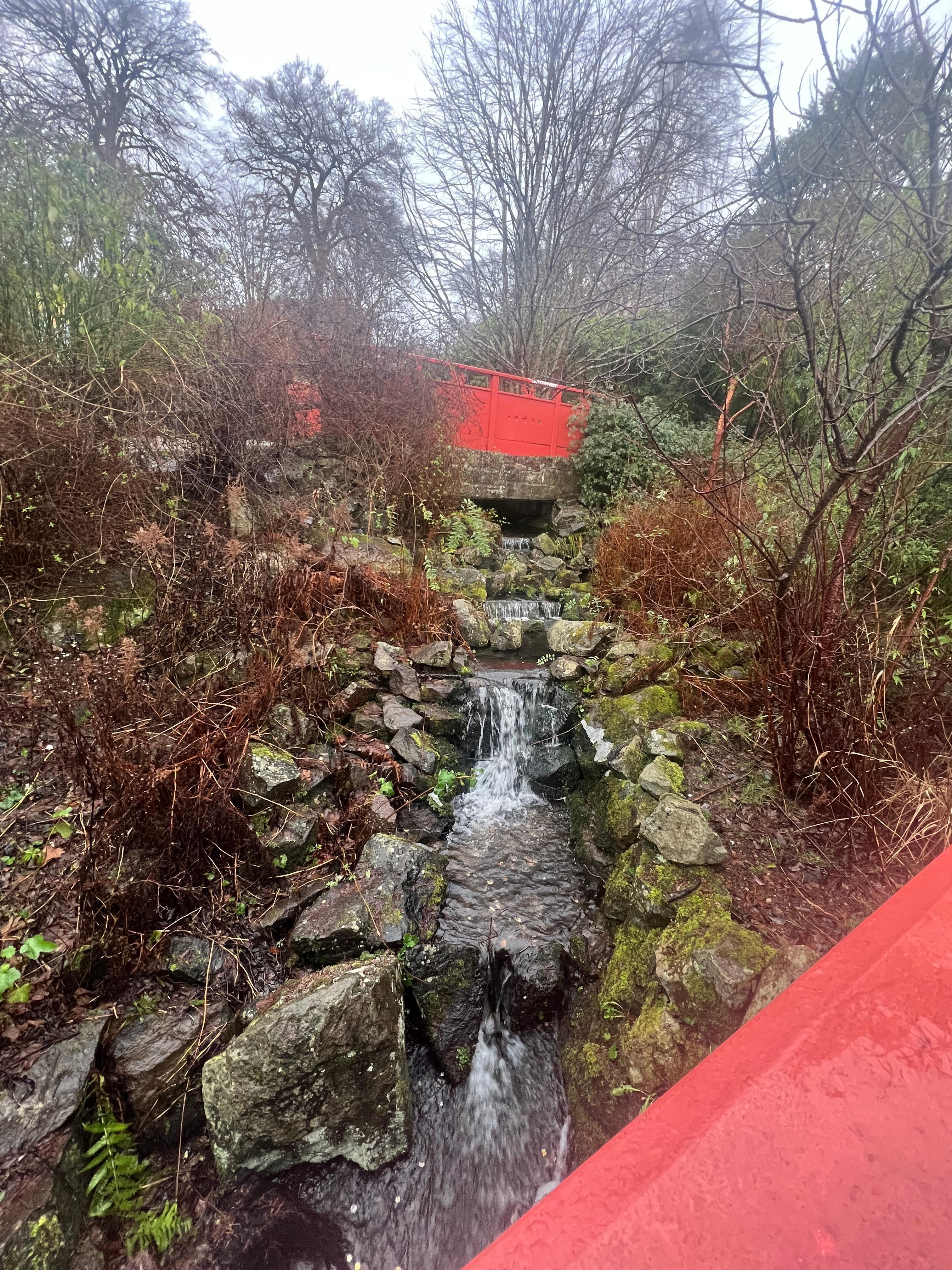 Very close to the botanical gardens and we would just wander around even in January it’s beautiful. 