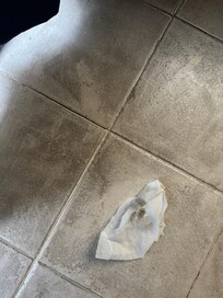 Tile floor is dirty not stained... does wipe up