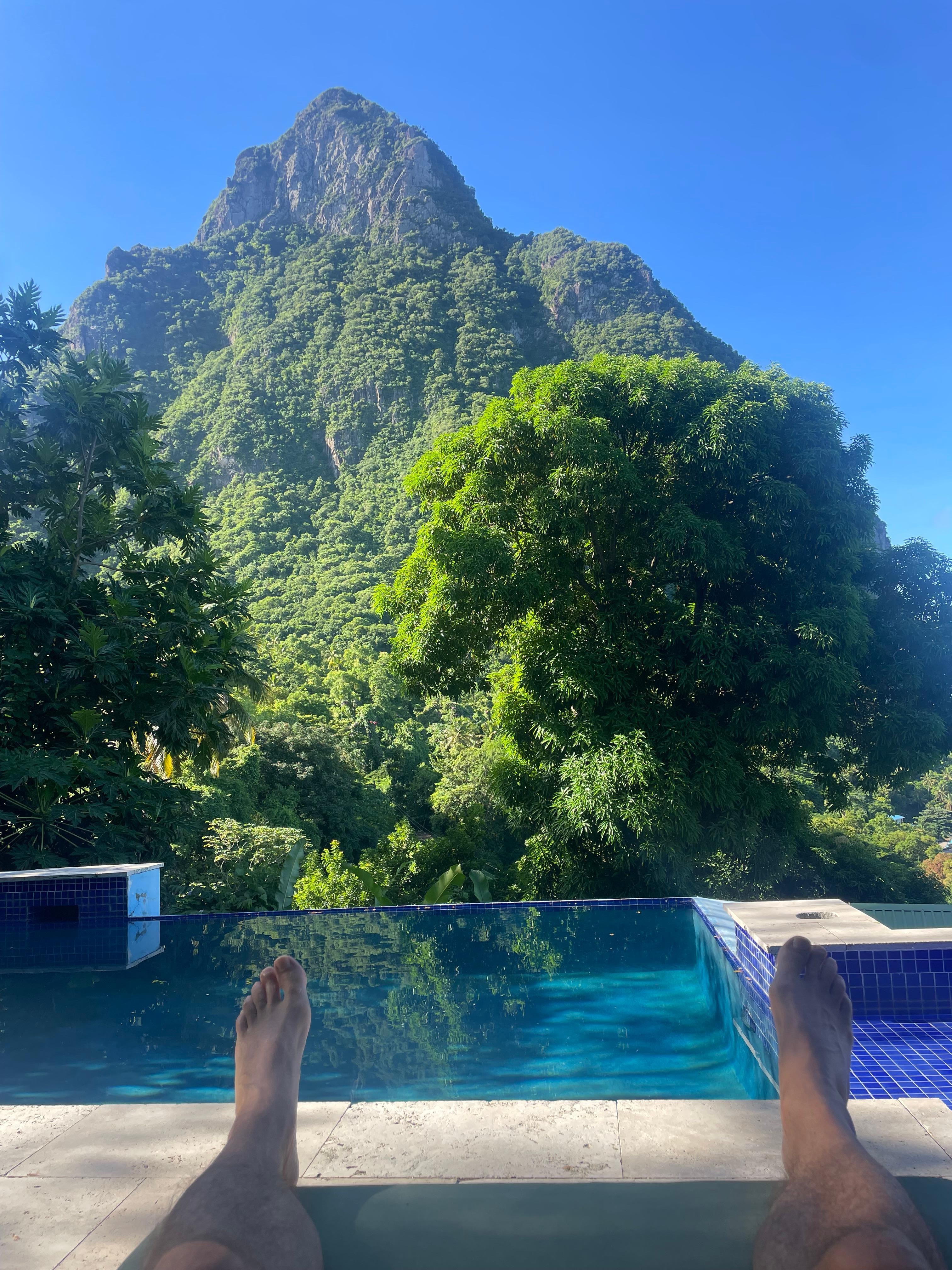 Morning coffee view.