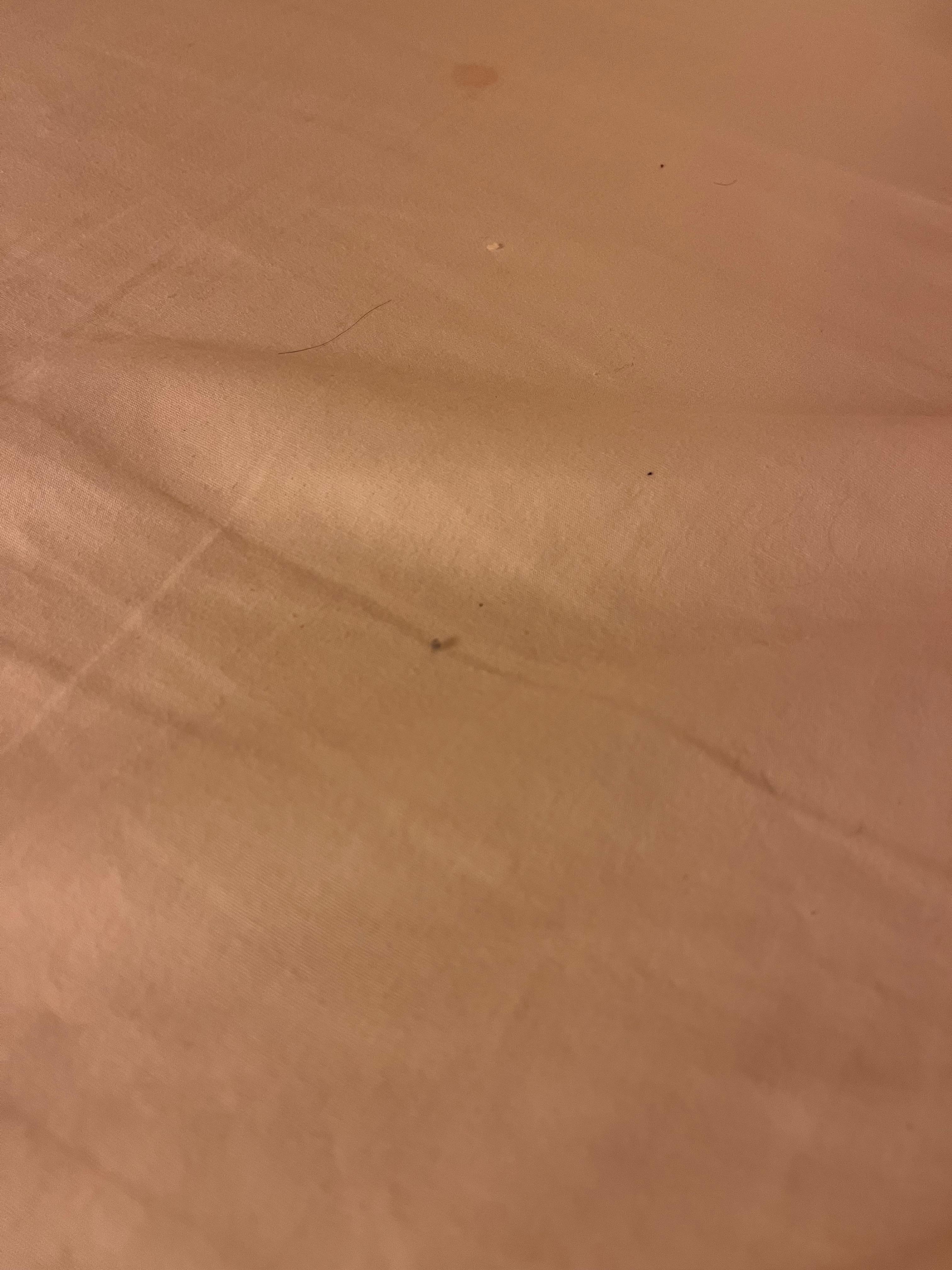 Long black hairs. Not mine on sheets and pillows. One pillow smelled like perfume.