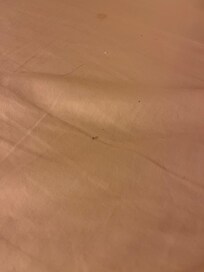 Long black hairs. Not mine on sheets and pillows. One pillow smelled like perfume.