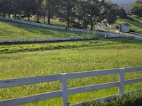 Road into property
