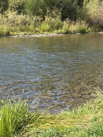 Gallatin River