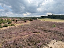 Lüneburger Heide