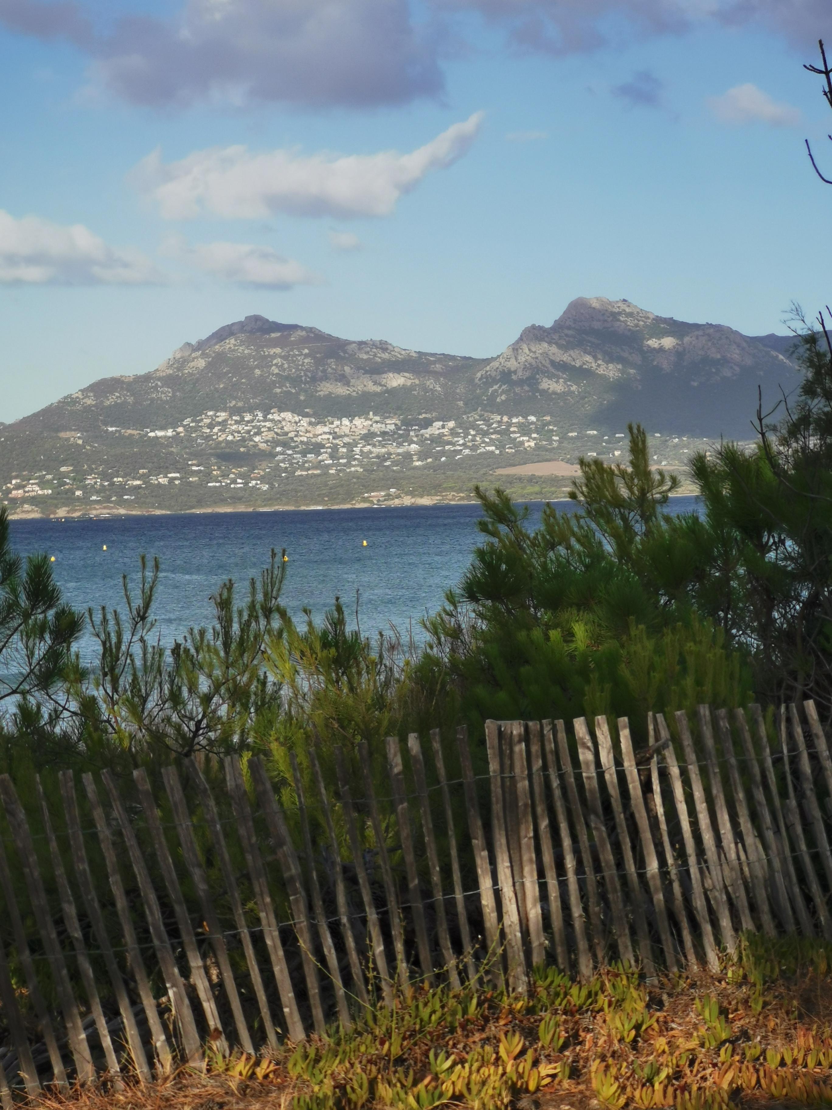 Parcours sur les planches de la pinède 