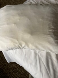 Pillow that was on the bed (disgusting yellow brown color)
