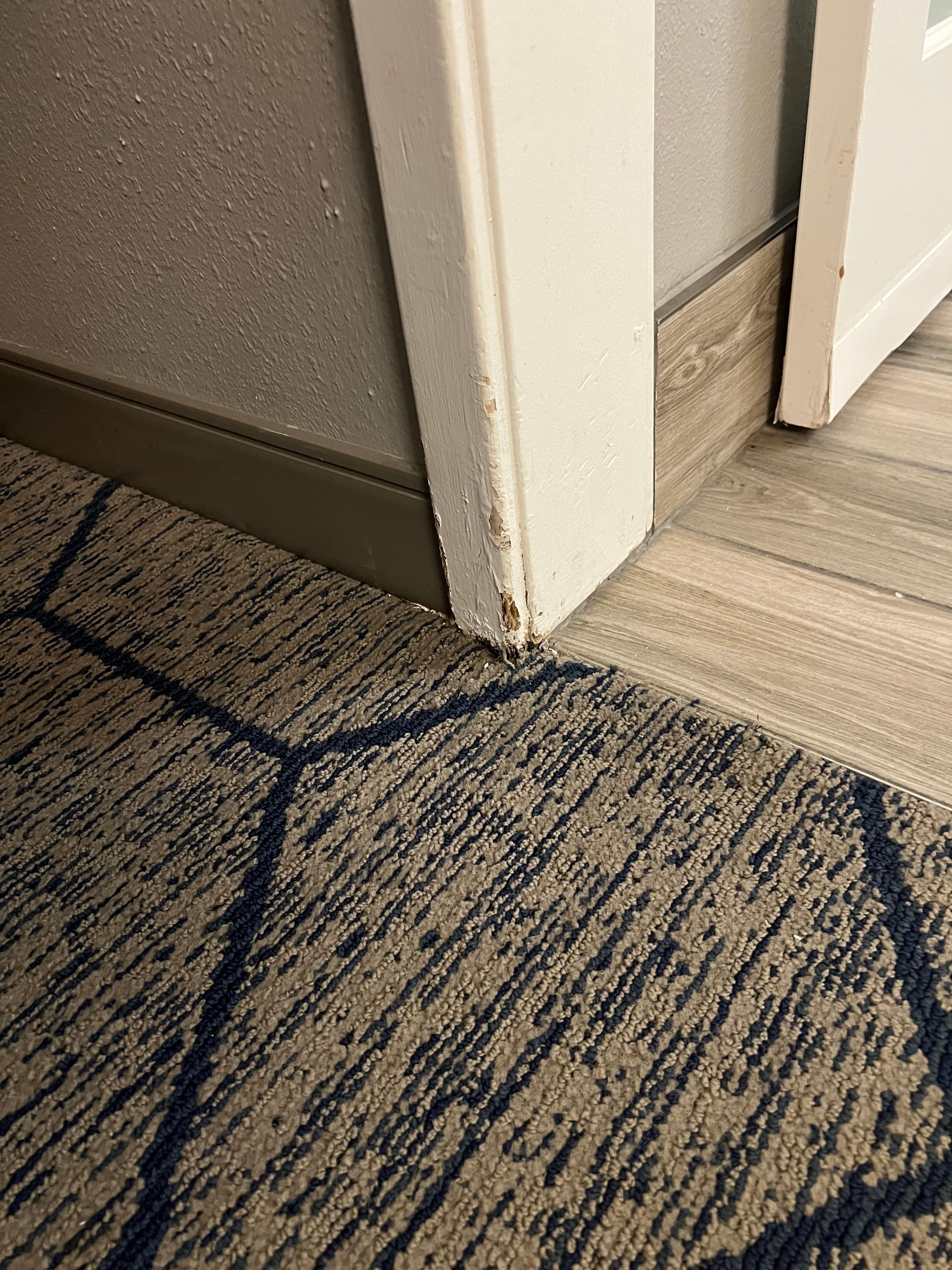 Paint chipping 