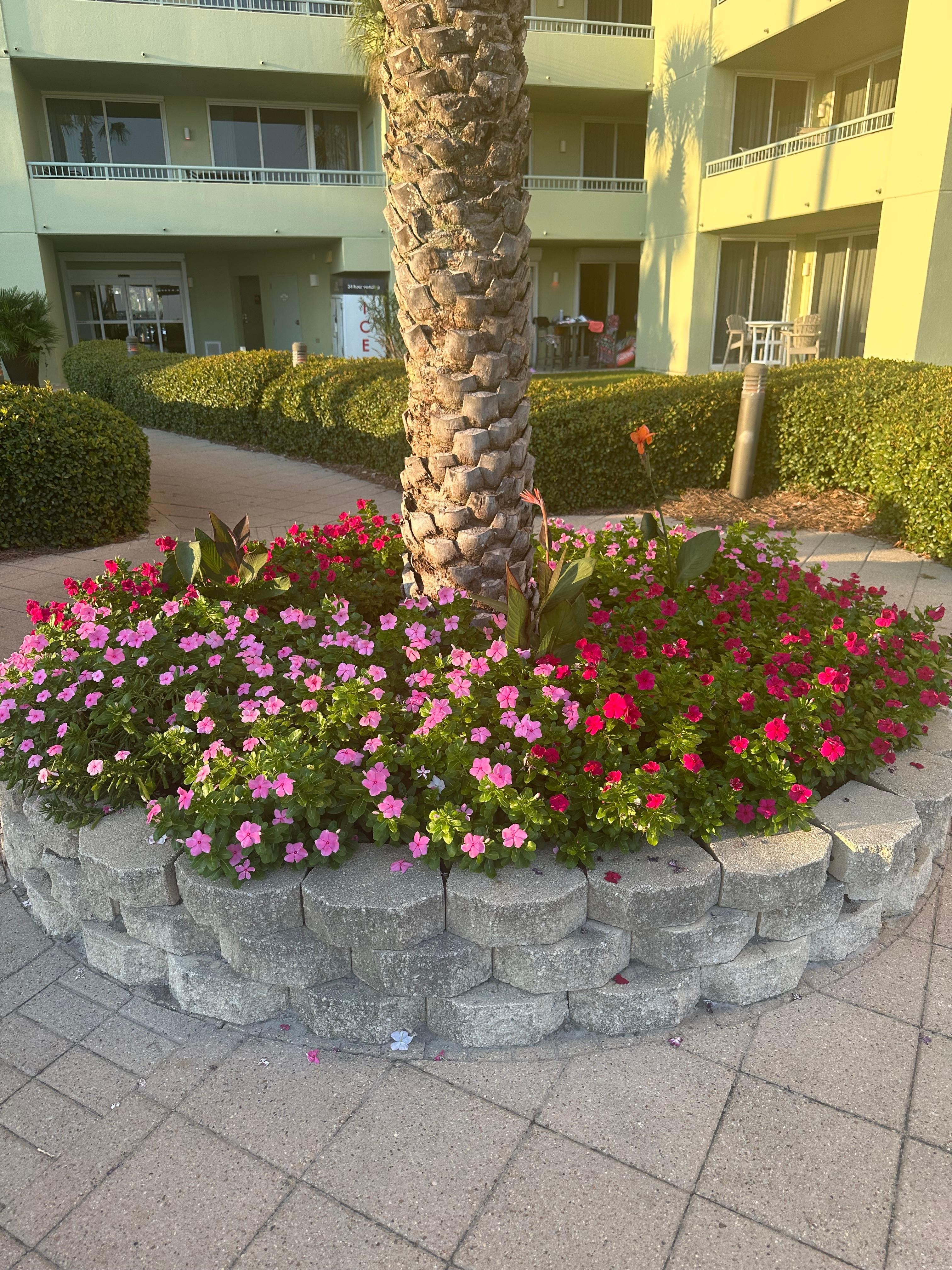 Flowers and beautiful plants everywhere 