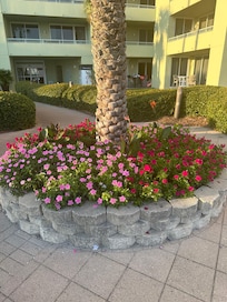 Flowers and beautiful plants everywhere