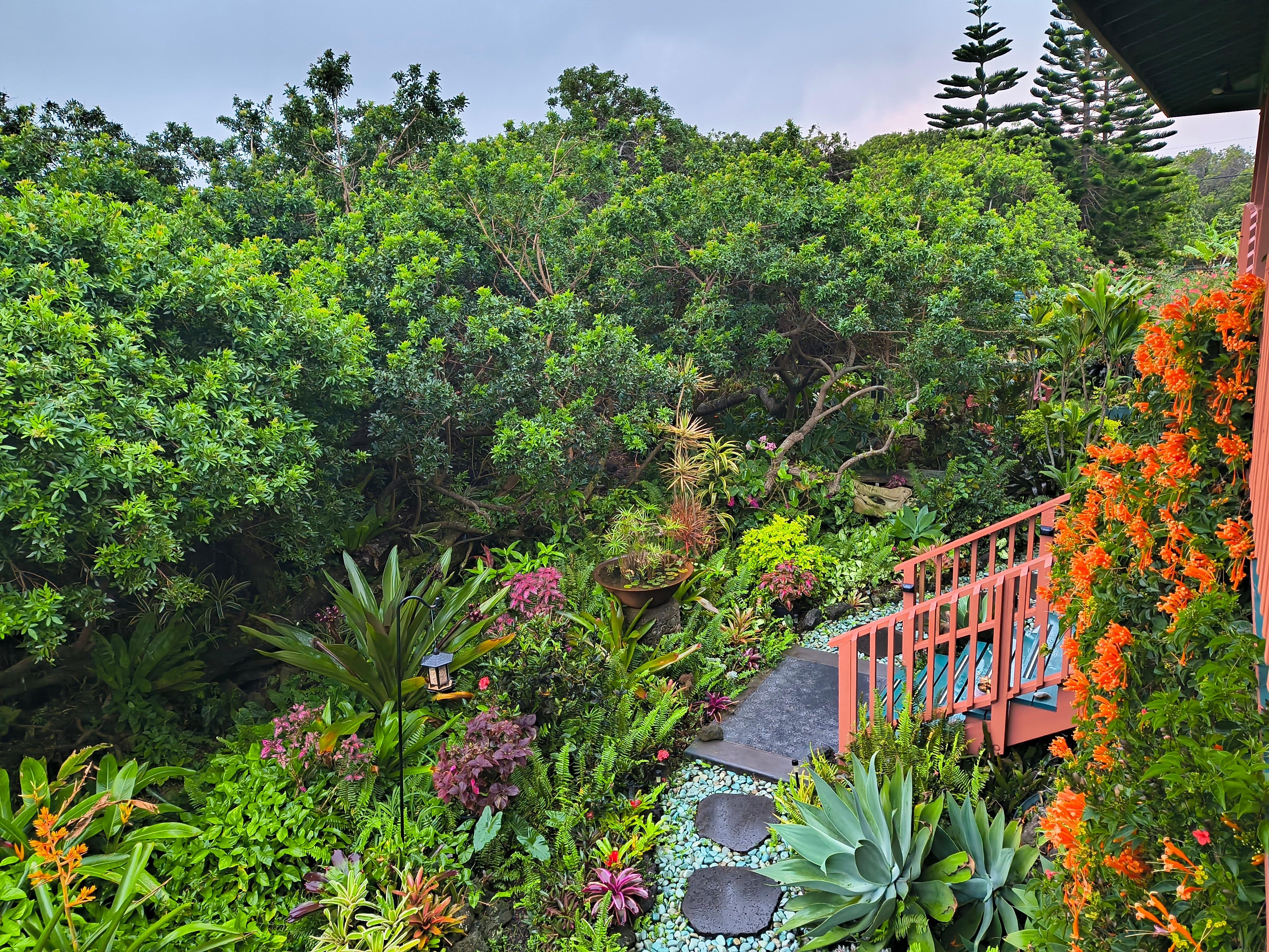 View from our balcony