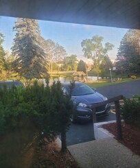 View out of my window