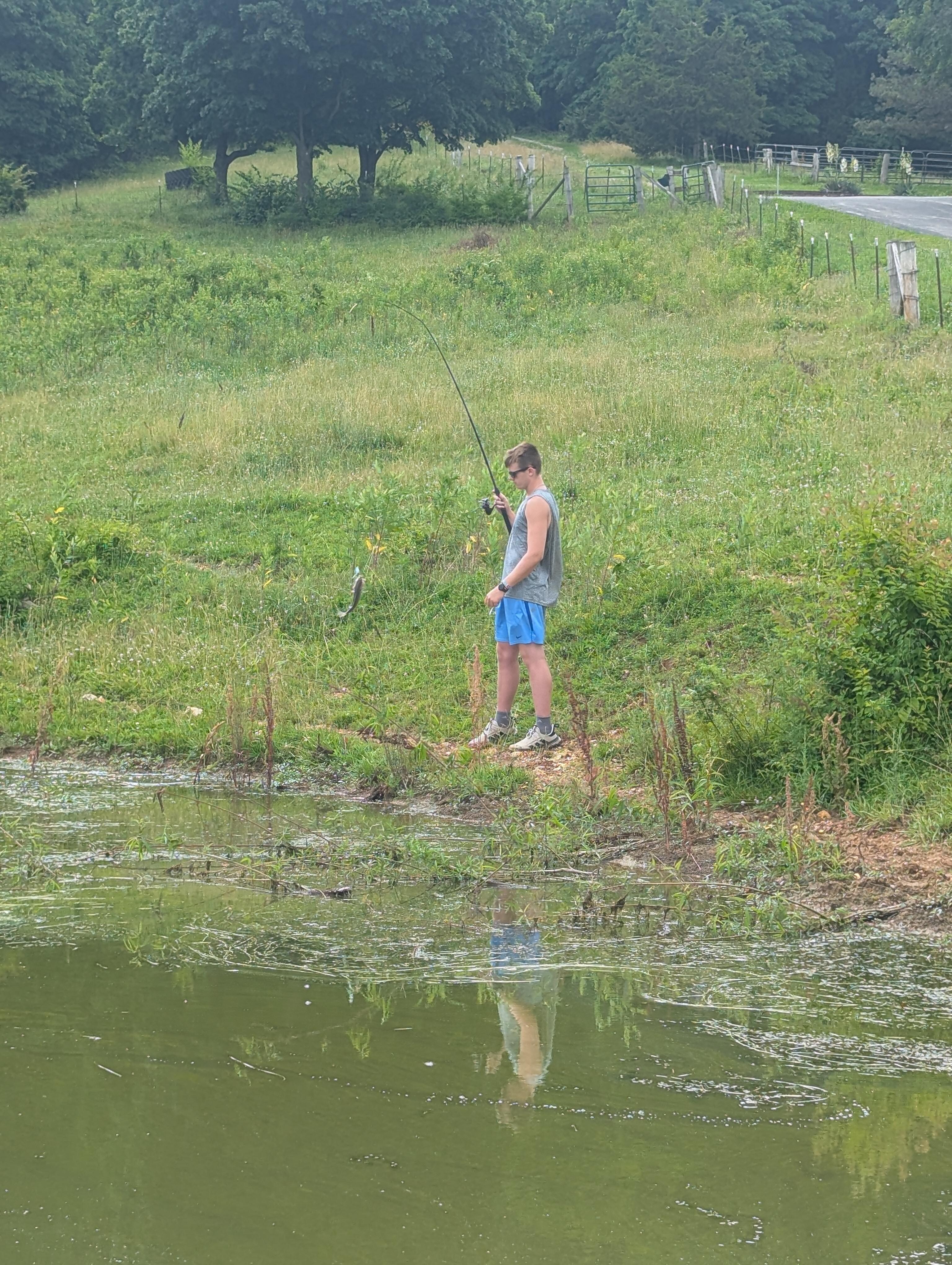 Fish pond a bit weedy for swimming. But free fishing all day. Fish were small but plentiful and the horses always came out to visit.