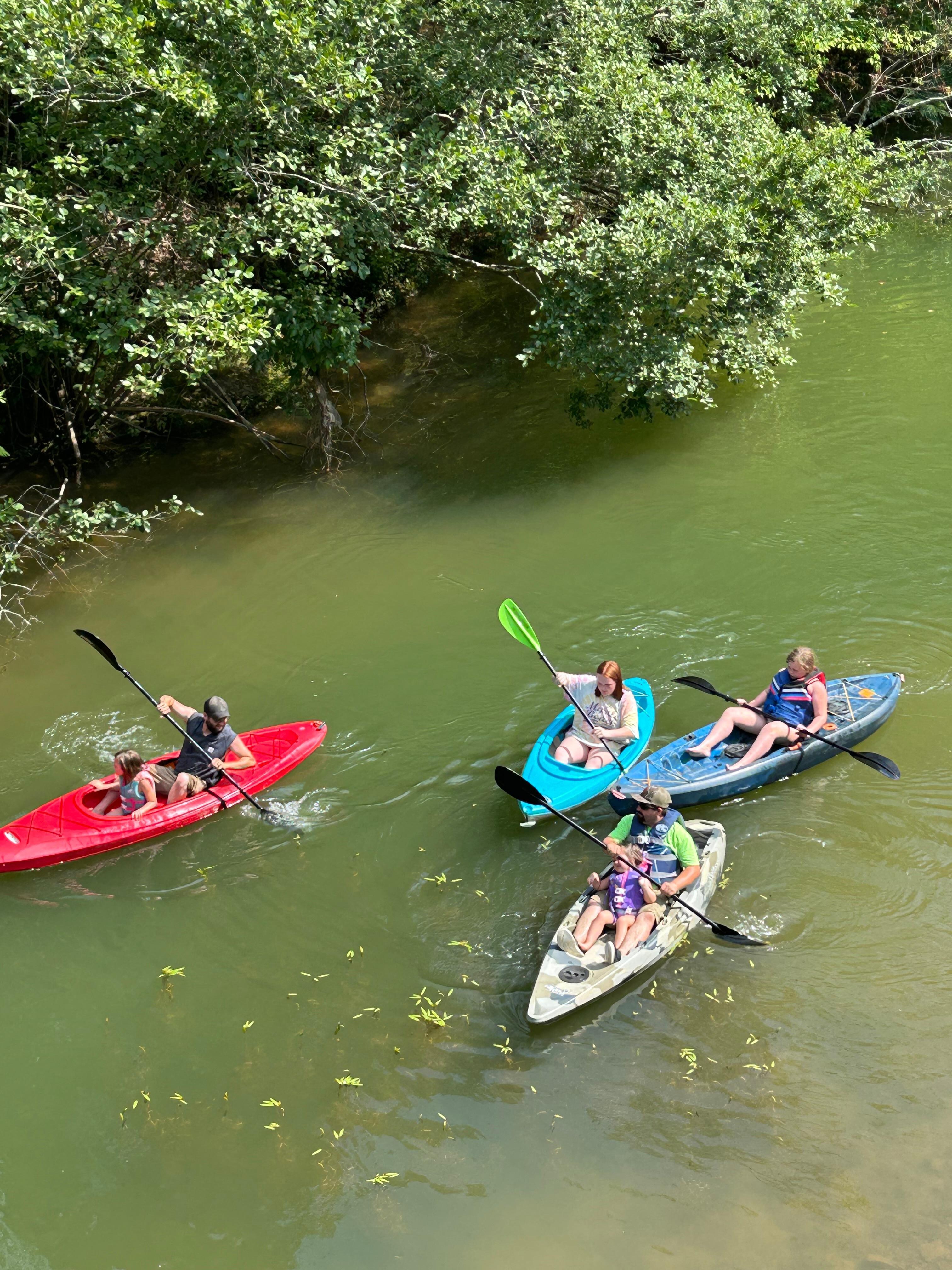 Kayaking in the cove