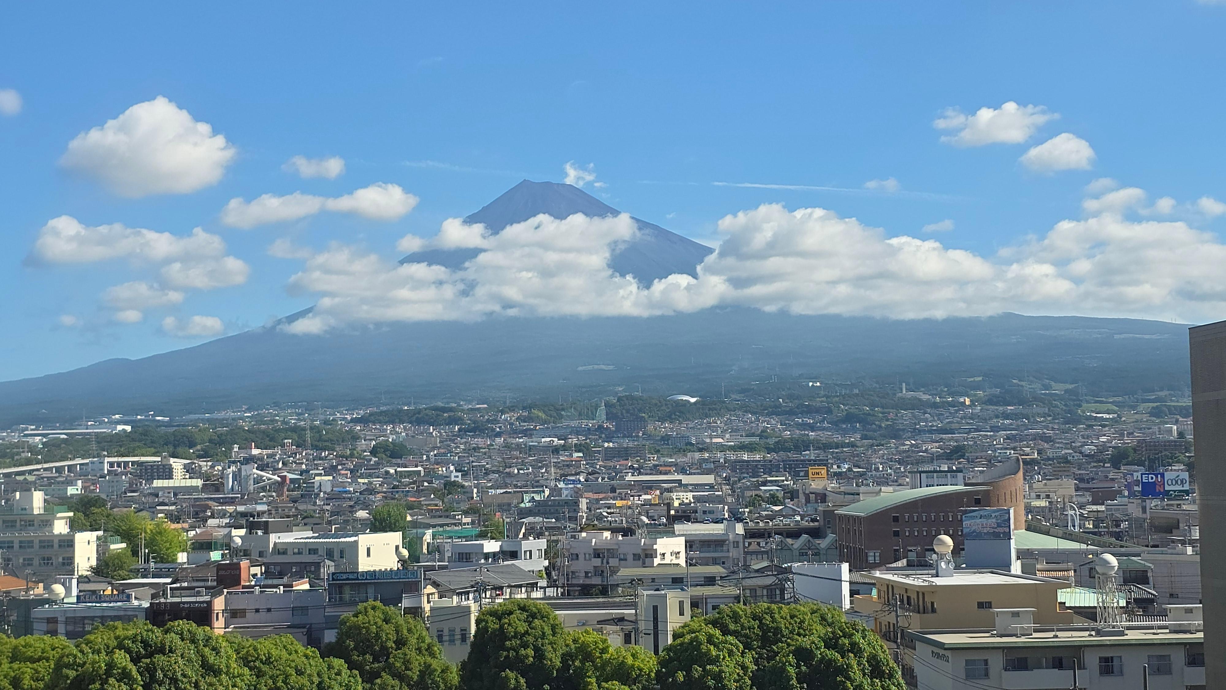 숙소 창밖 풍경