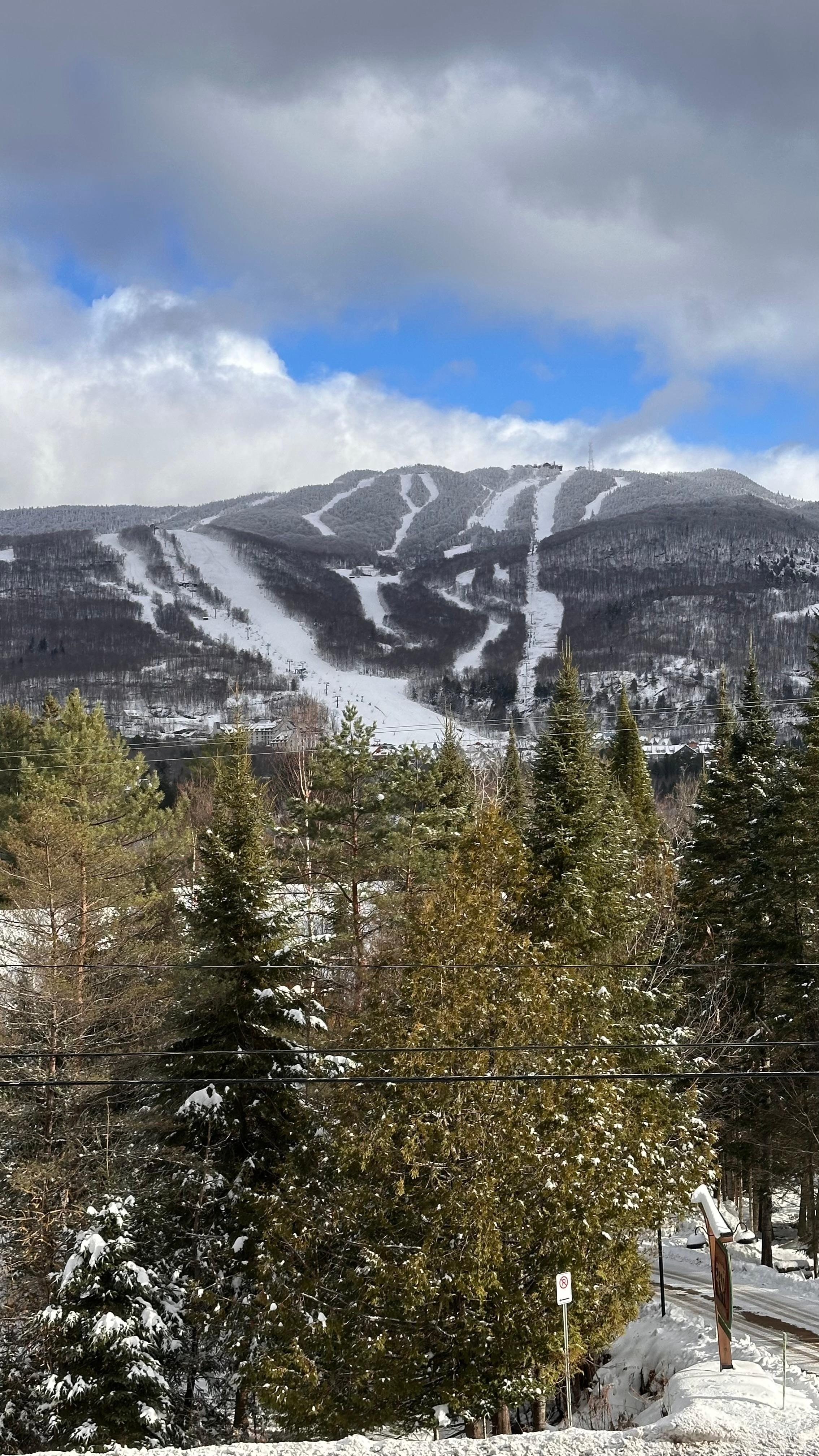 View of mountain from home 