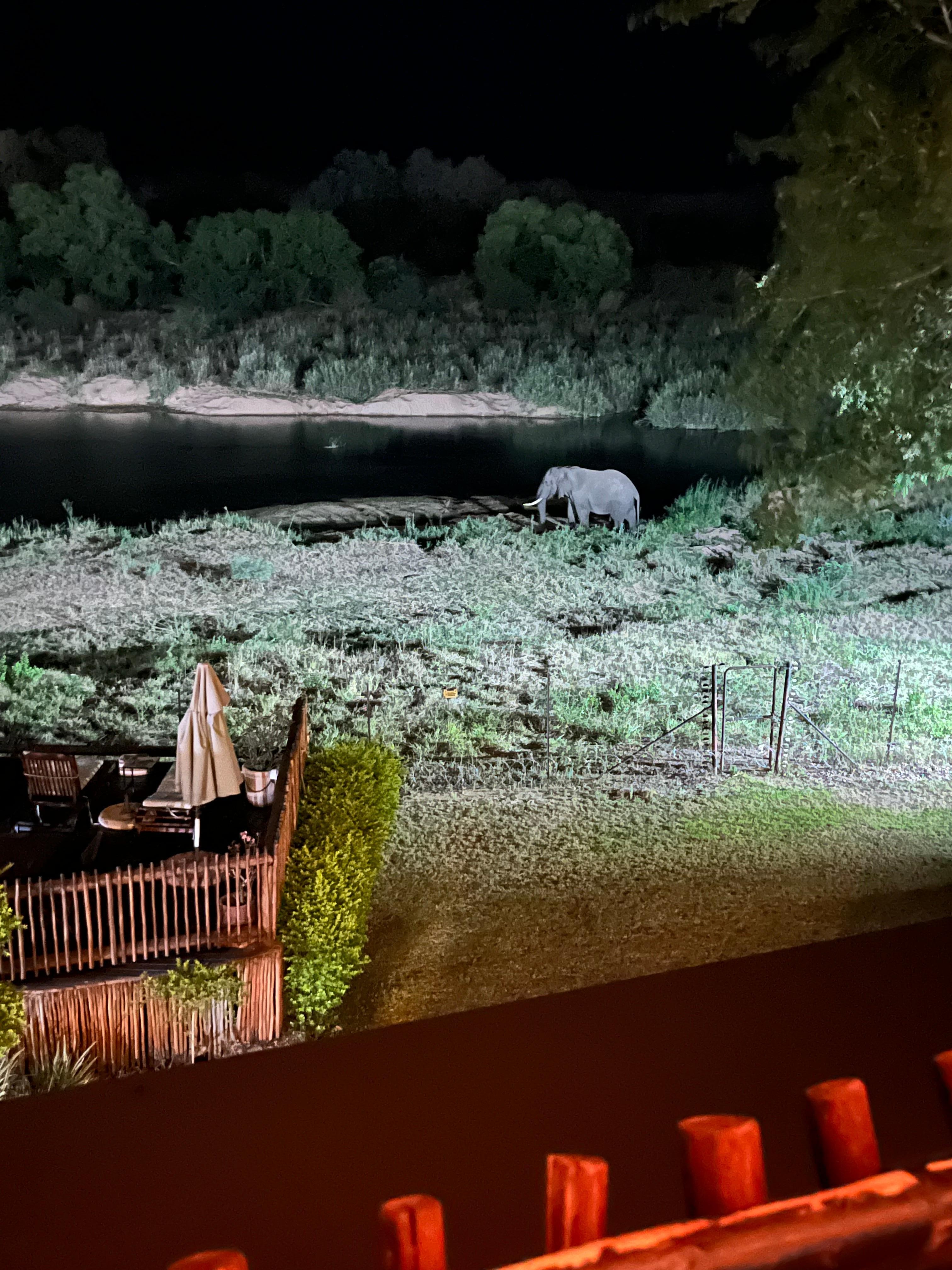 Night view from the bar at the hotel