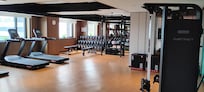 A nice selection of dumbbells.