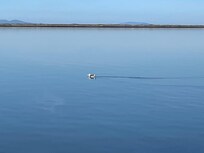 Dungeness Spit.