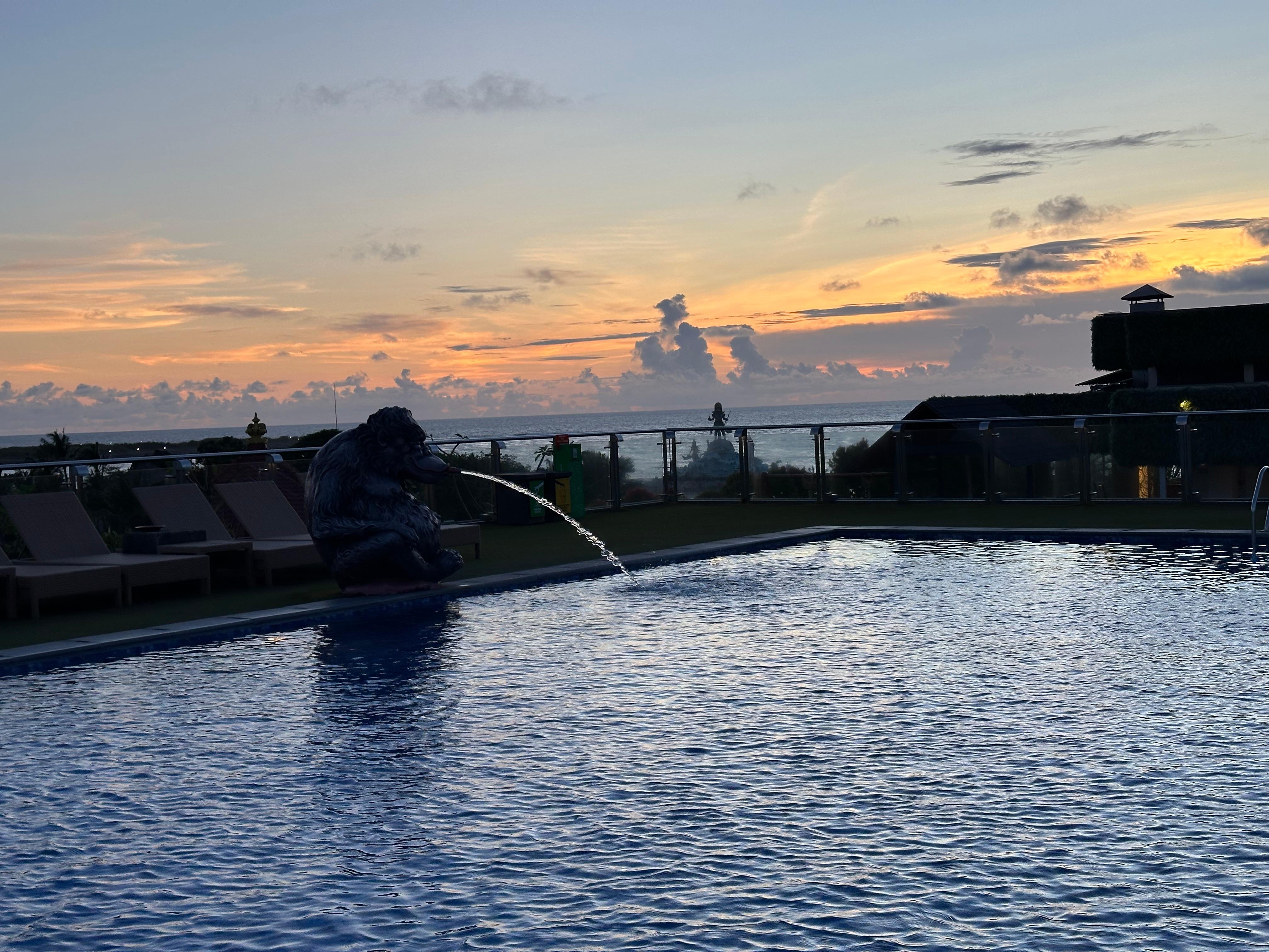 Gorgeous rooftop swimming pool 
