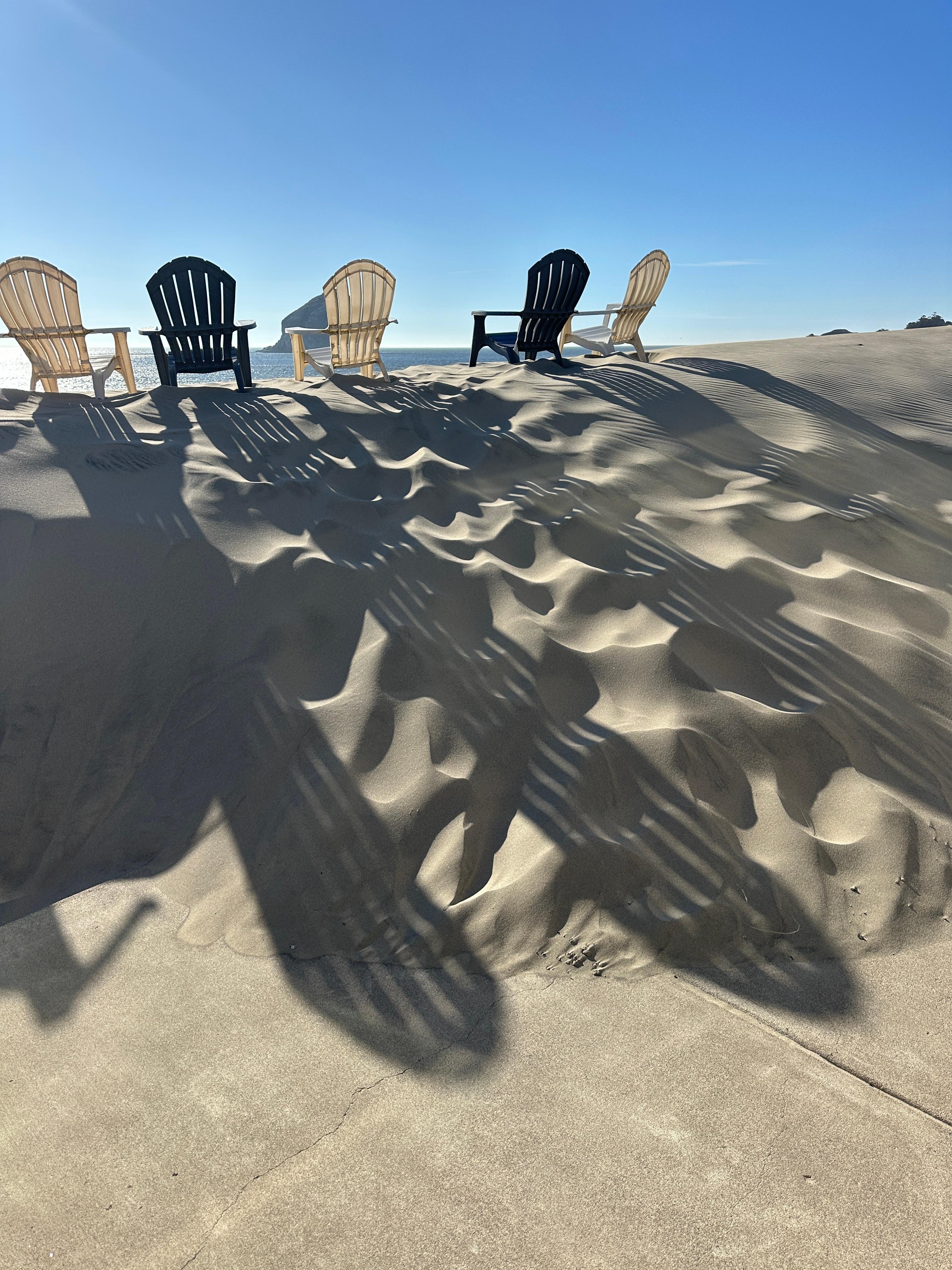 Sand dune just outside back door