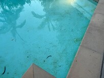 Grime/mildew covered entirety of pool. The owners never cleaned this.