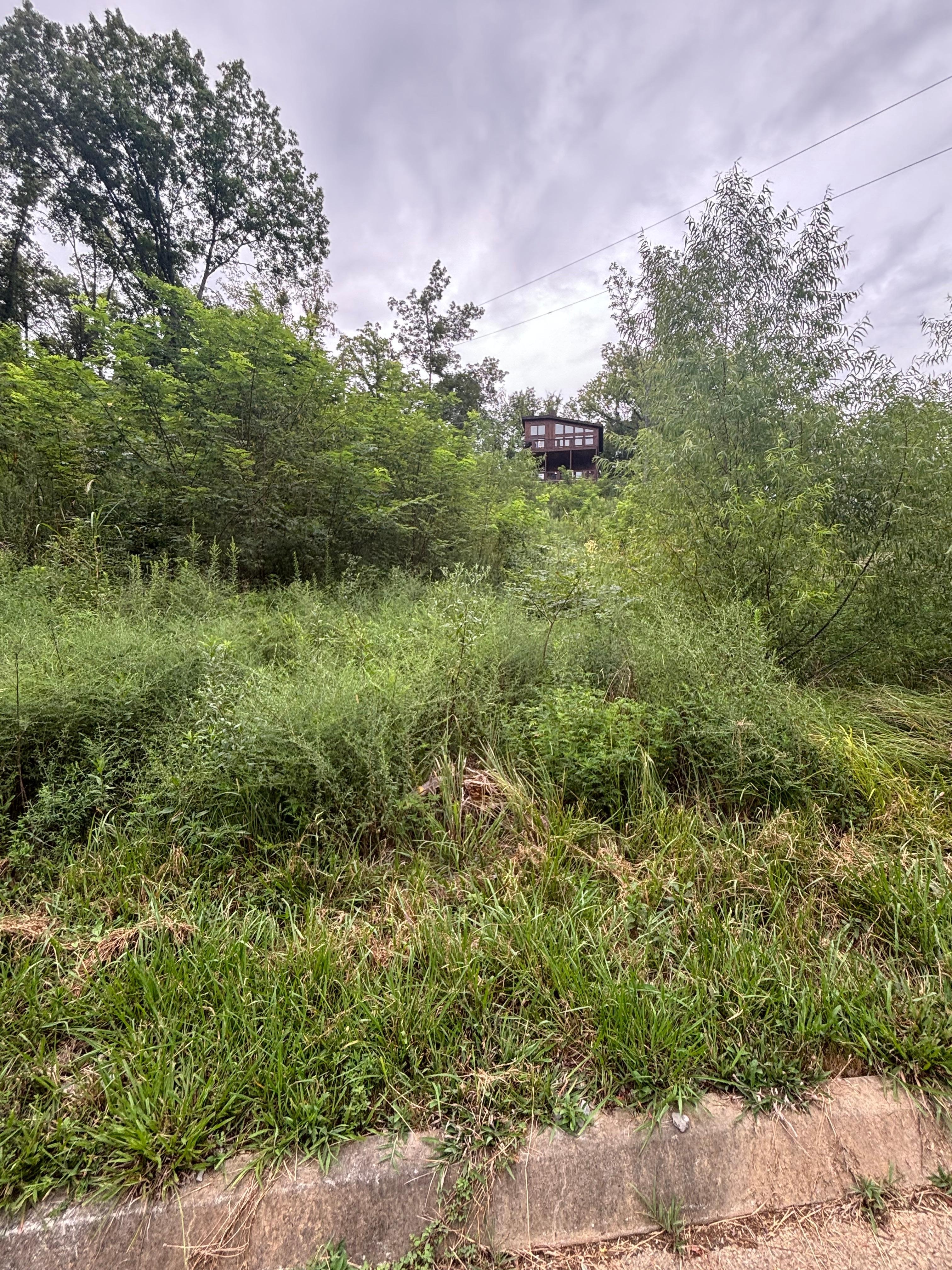 From the entrance road