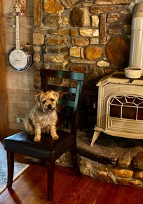 Beautiful decor and dog friendly