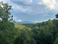 Off the back deck