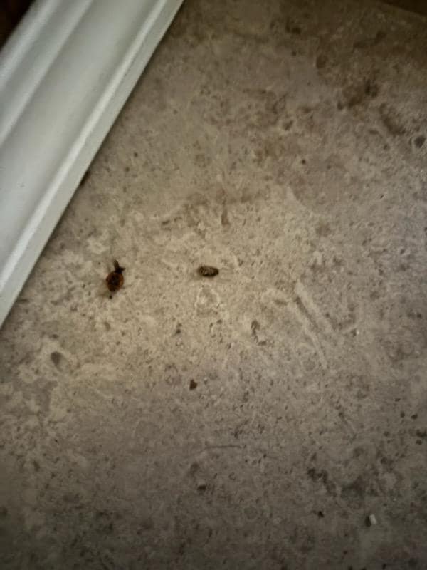 We had to throw out all the food on the counters and the meals we had planed to prepare throw out. We had to go to a hotel for the Friday stay-