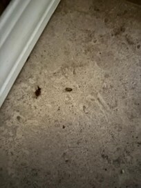 We had to throw out all the food on the counters and the meals we had planed to prepare throw out. We had to go to a hotel for the Friday stay-