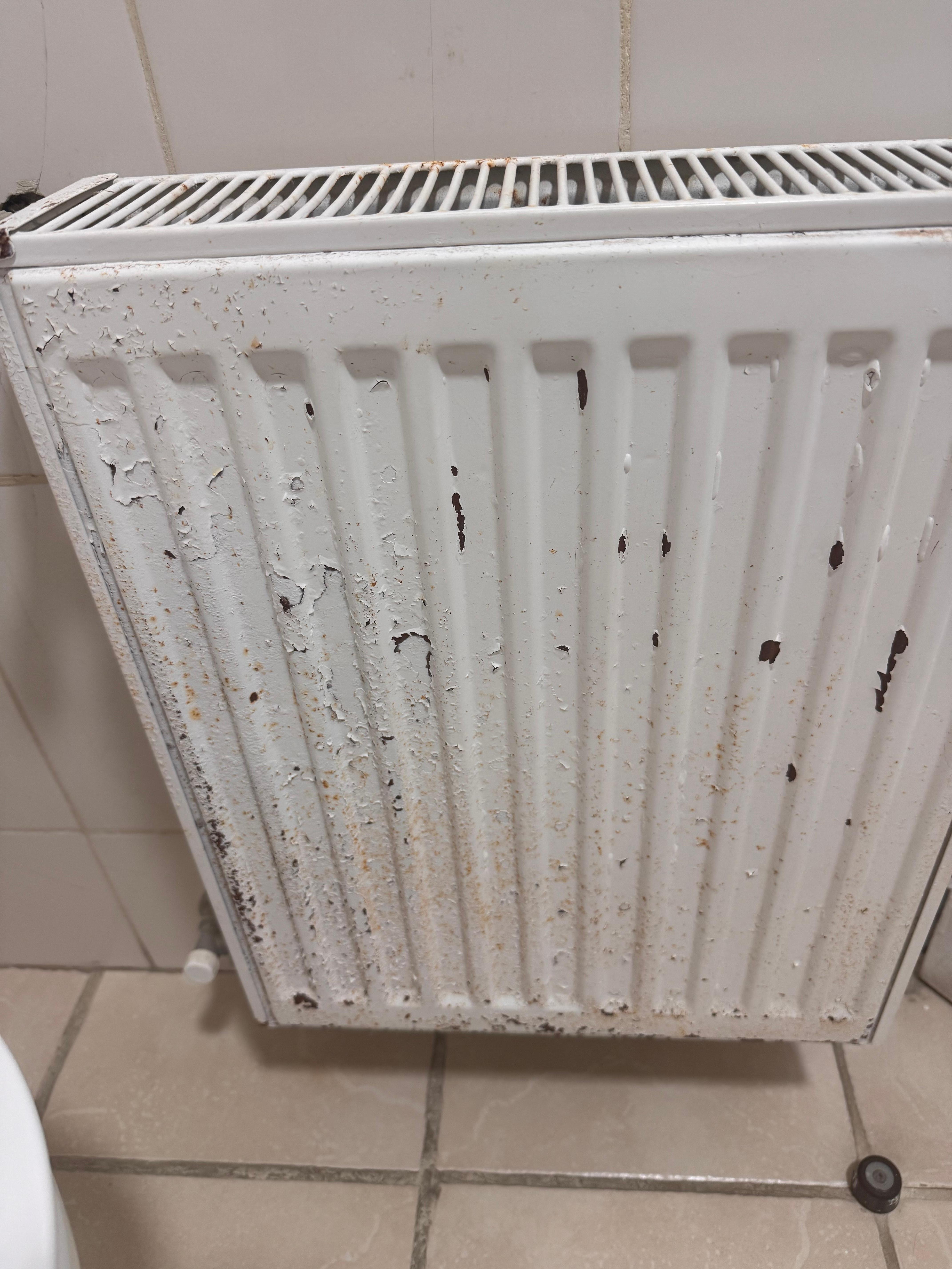 Bathroom radiator with rust and peeling paint