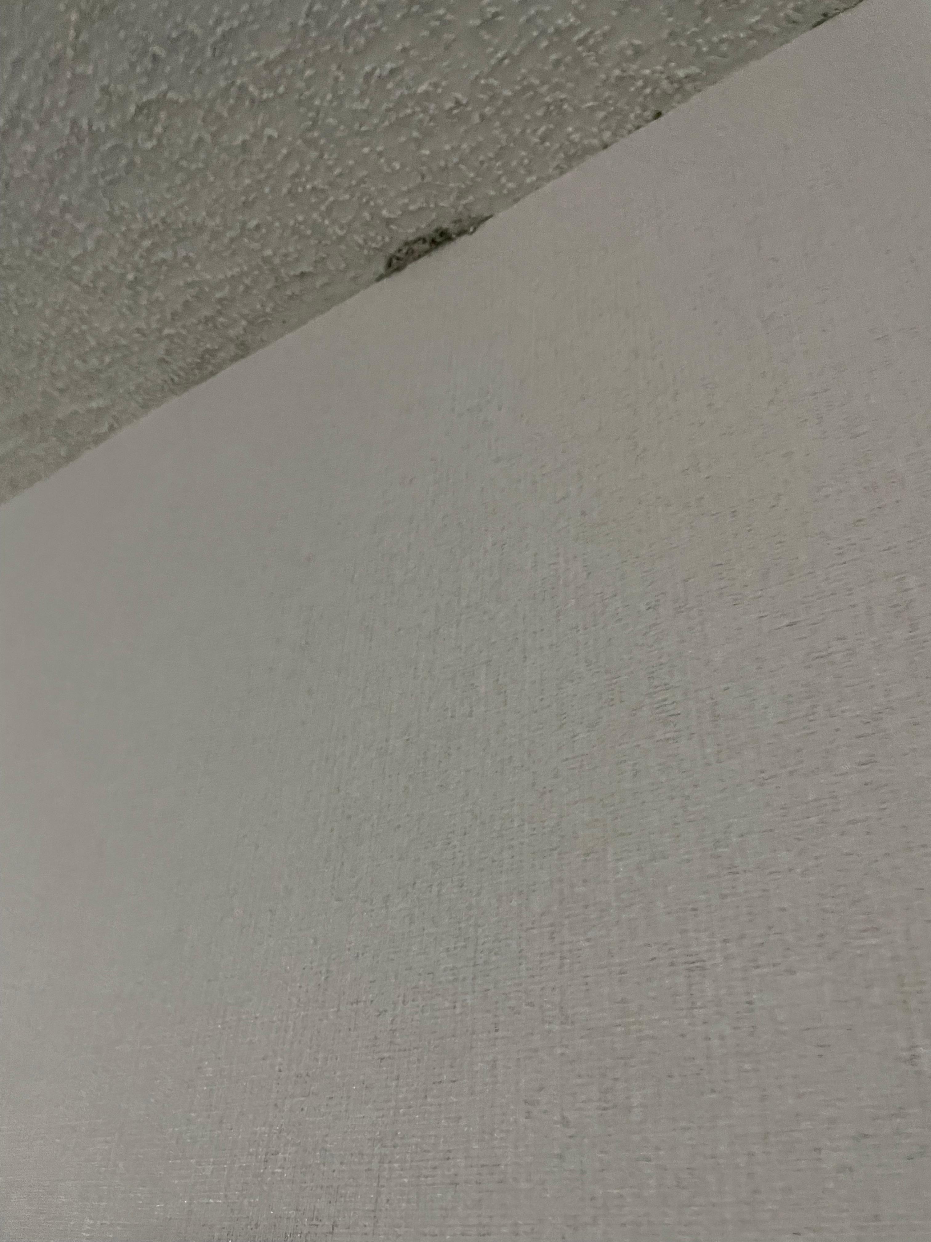 Dirt and mold in the hallway