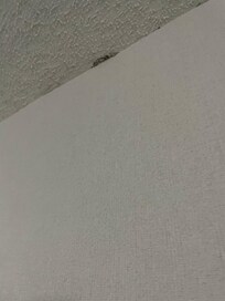 Dirt and mold in the hallway