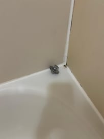 Shower mold