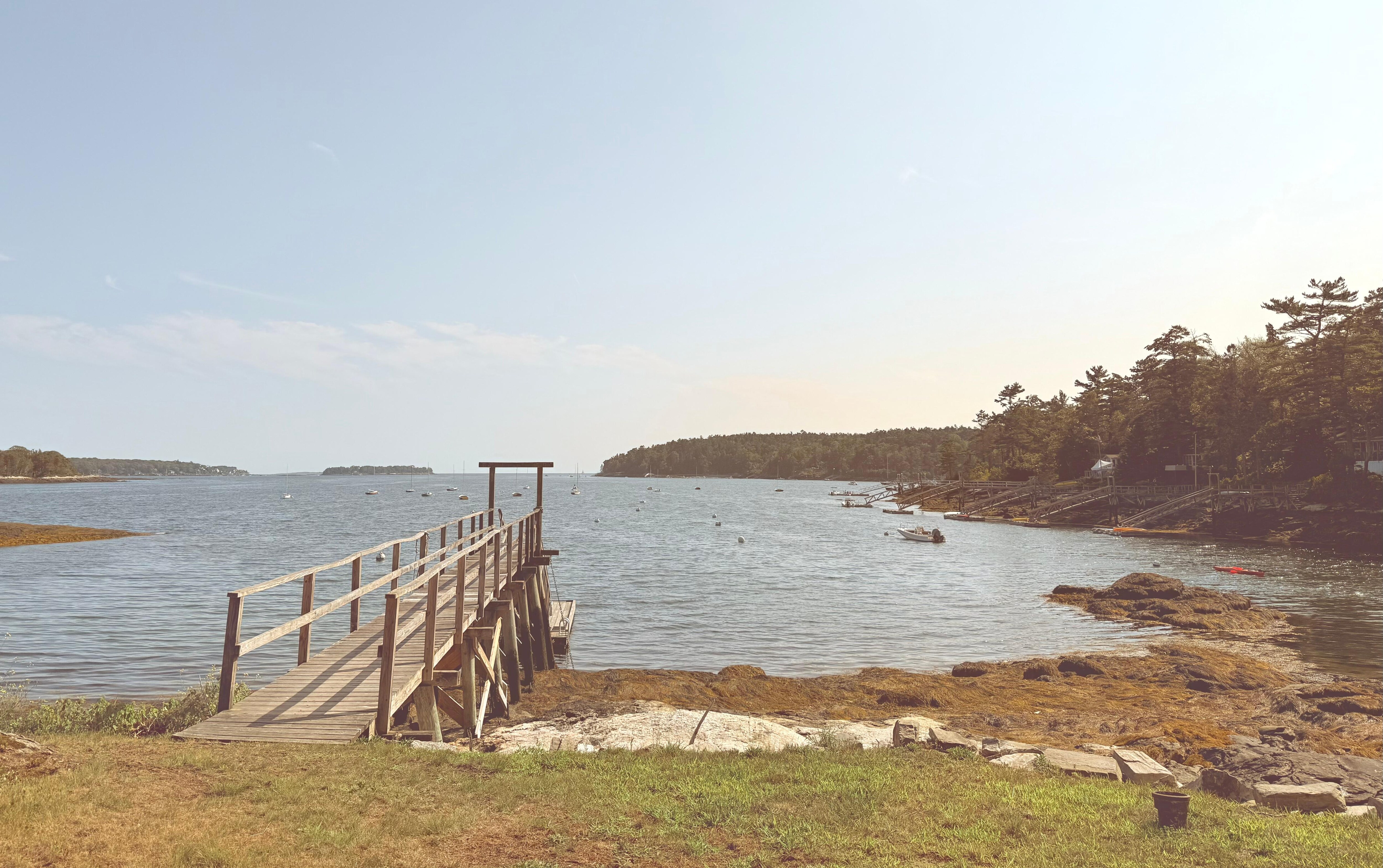 Pic taken from cottage porch, low tide.
