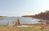Pic taken from cottage porch, low tide.