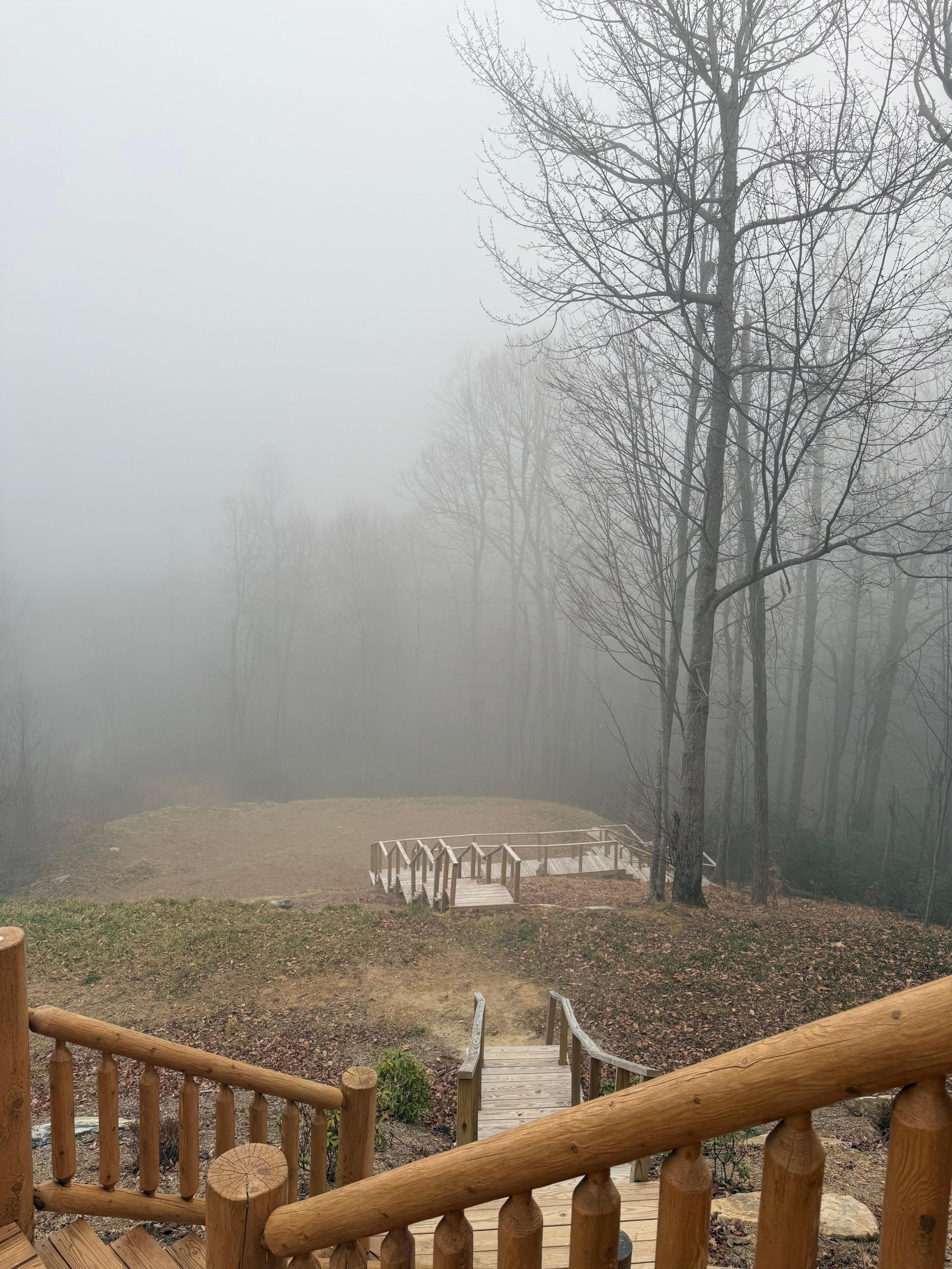 Oh Christmas Tree ❤️